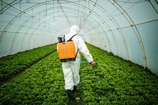 Best Pest Prevention Services  in Falls Church, VA