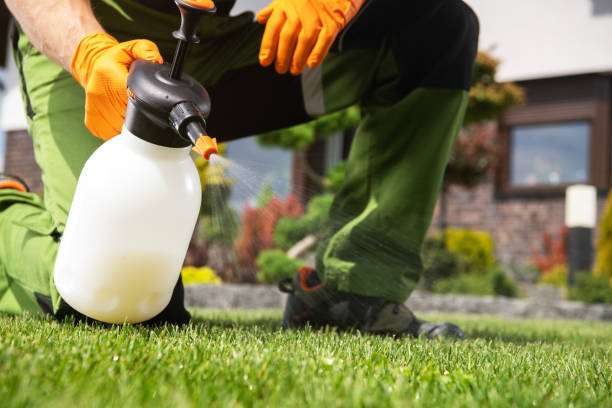 Best Rat Extermination Near Me  in Falls Church, VA