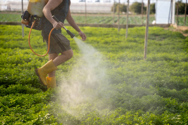 Best Commercial Pest Control Services  in Falls Church, VA