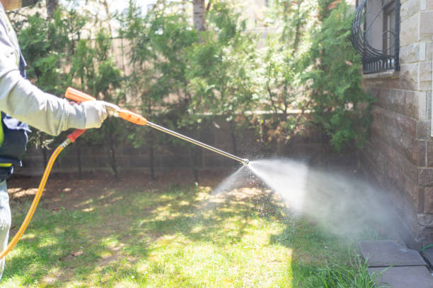 Best Bird Control  in Falls Church, VA