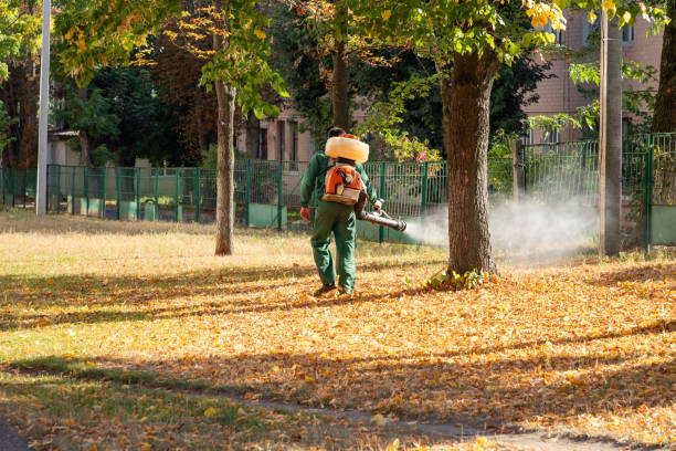 Best Wasp Removal Services  in Falls Church, VA