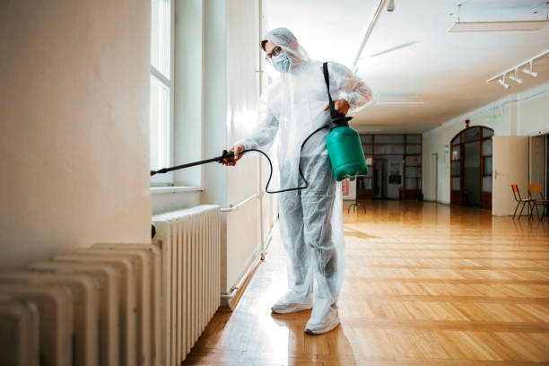 Best Affordable Pest Control Services  in Falls Church, VA