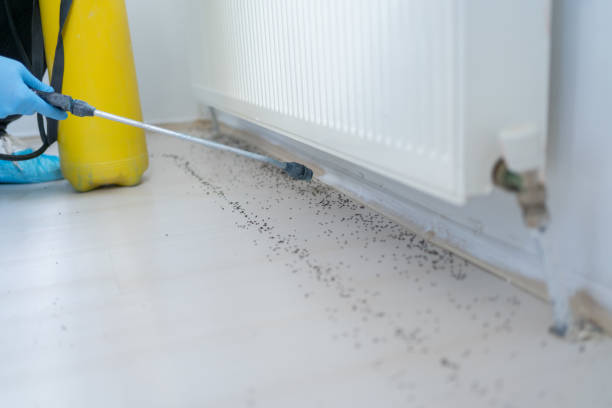 Best Wildlife Control Services  in Falls Church, VA