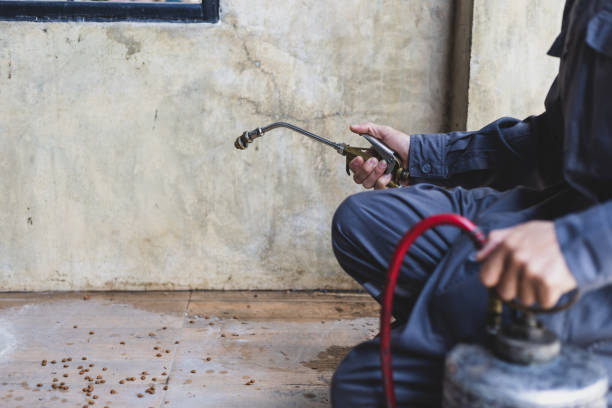 Professional Pest Control in Falls Church, VA